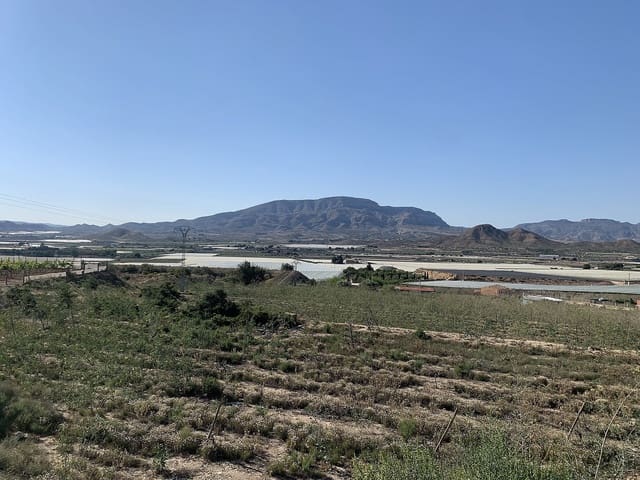 Mark till salu i Monforte del Cid - 65 000 € (Ref: 9640007)