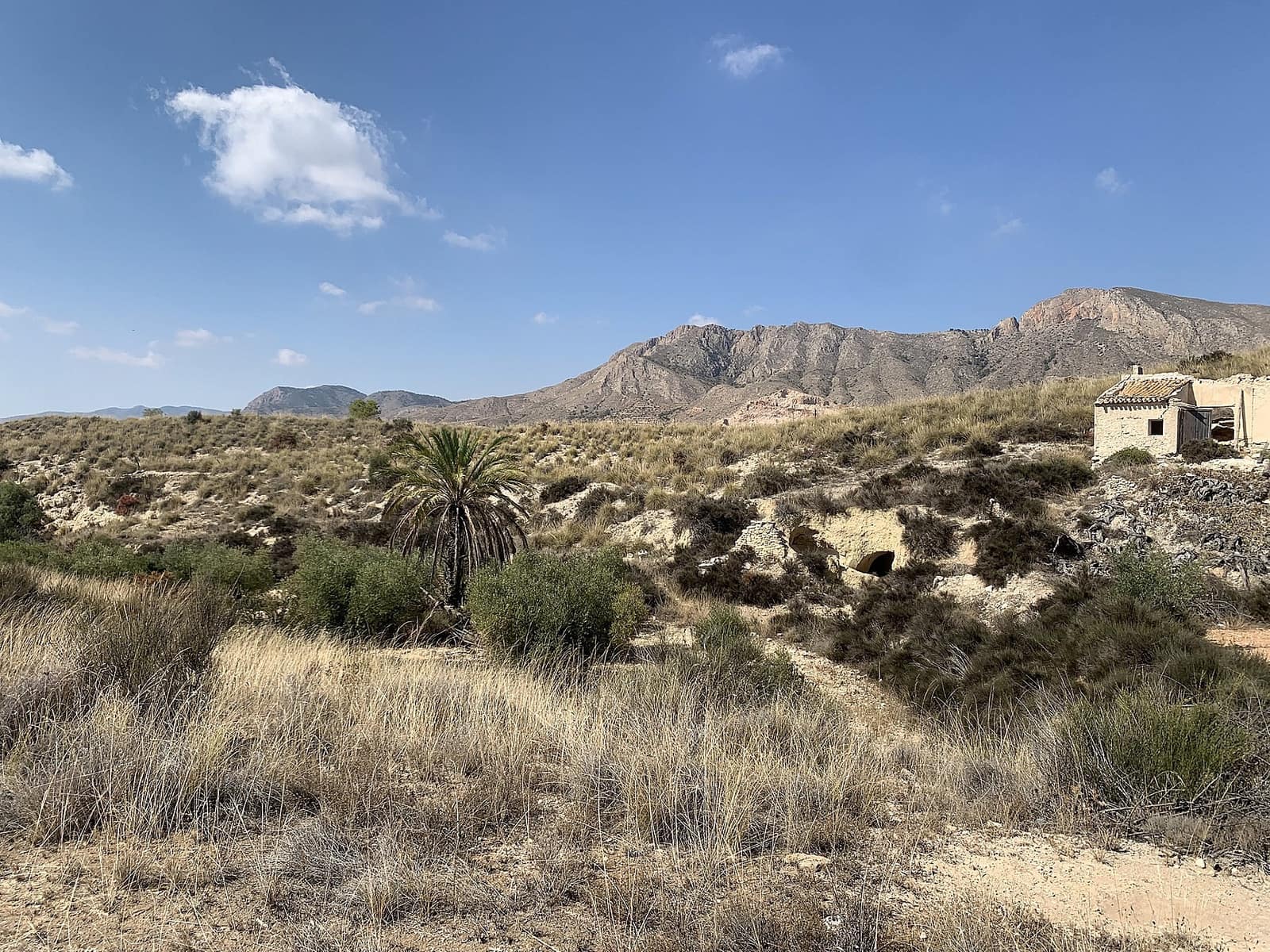 5 slaapkamer Grotwoning te koop in Macisvenda - € 29.000 (Ref: 9640018)