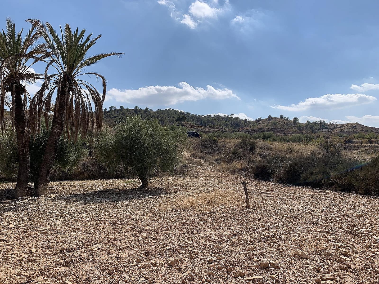 5 slaapkamer Grotwoning te koop in Macisvenda - € 29.000 (Ref: 9640018)