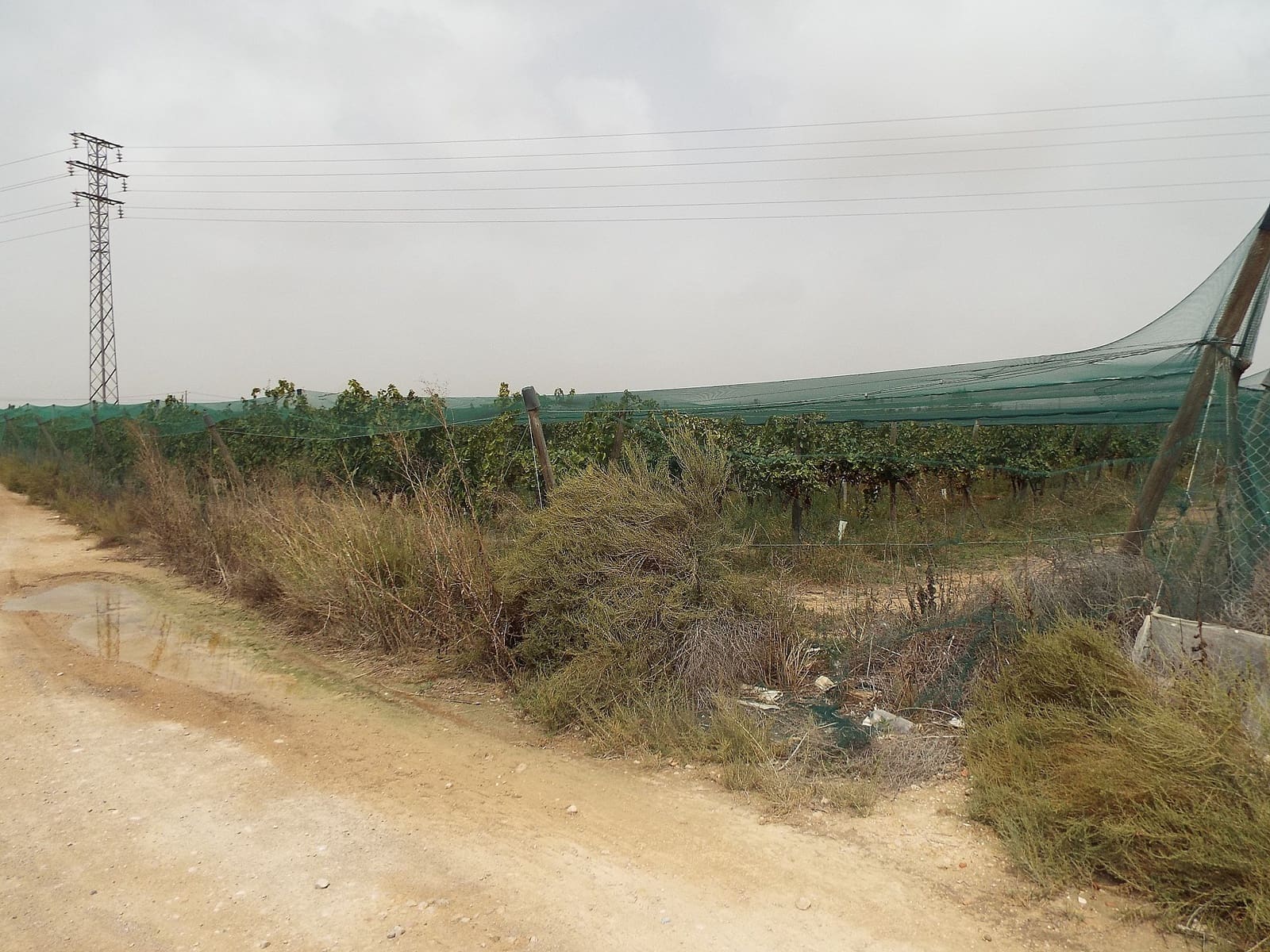 Terreno Não Urbanizado para venda em Monforte del Cid - 76 000 € (Ref: 9647589)