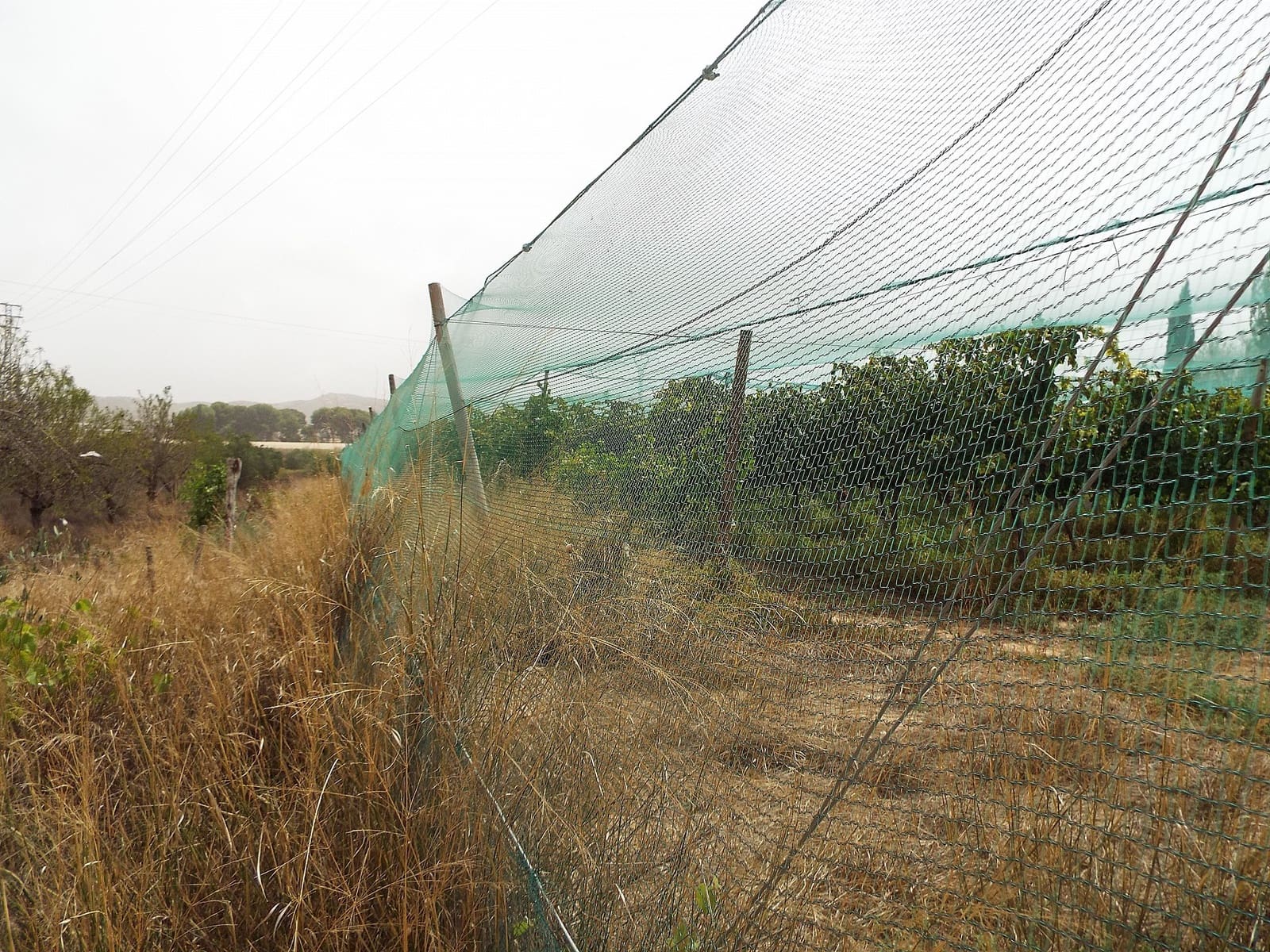 Terreno Não Urbanizado para venda em Monforte del Cid - 76 000 € (Ref: 9647589)