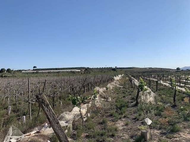 Teren niezagospodarowany na sprzedaż w Monforte del Cid - 80 000 € (Ref: 9647620)