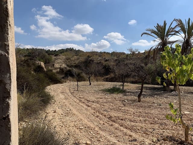 5 makuuhuone Luolatalo myytävänä paikassa Macisvenda, Abanilla - 29 000 € (Ref: 9647632)