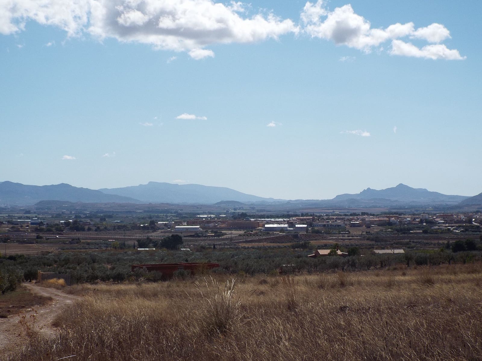 Undeveloped Land for sale in Caudete - € 24,000 (Ref: 9651115)