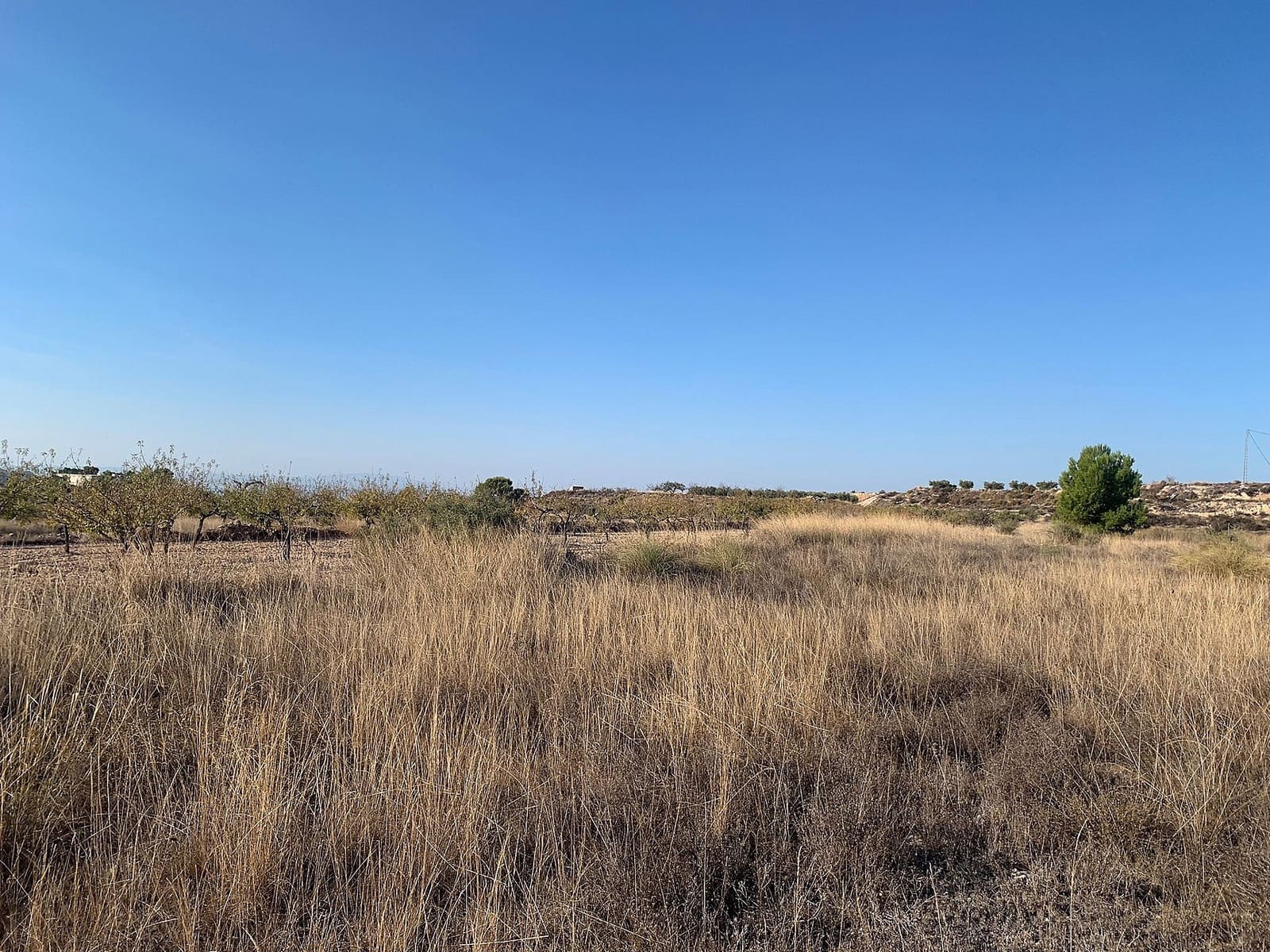 Ubebygd land til salgs i Macisvenda - € 32 000 (Ref: 9651127)