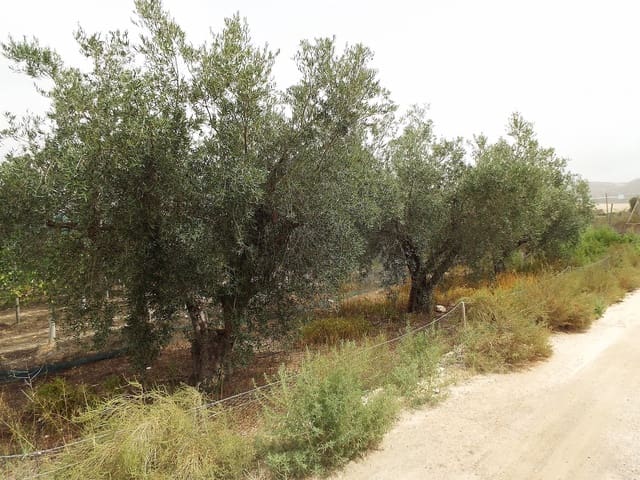 Undeveloped Land for sale in Monforte del Cid - € 26,000 (Ref: 9651148)