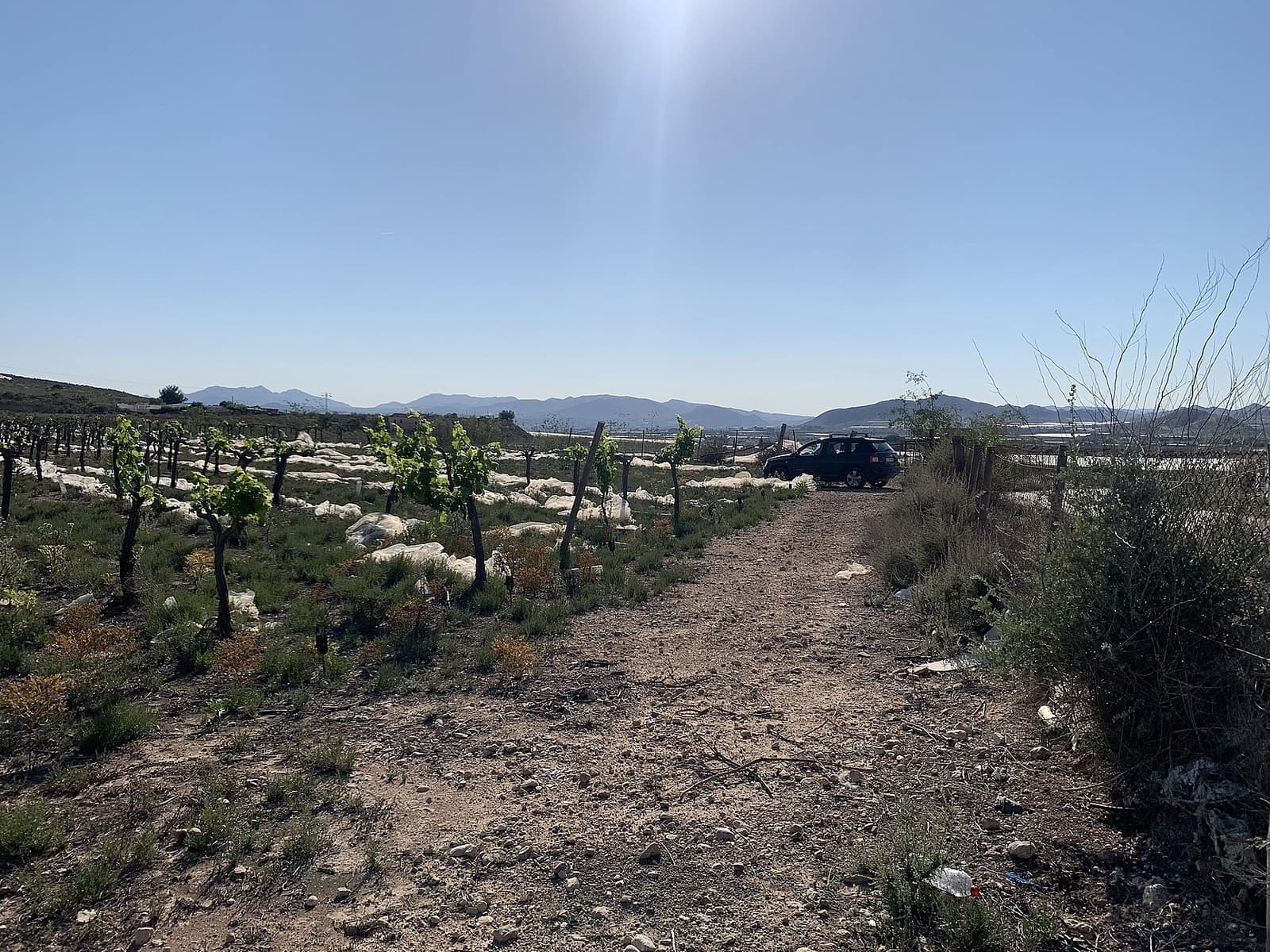 Undeveloped Land for sale in Monforte del Cid - € 80,000 (Ref: 9651167)