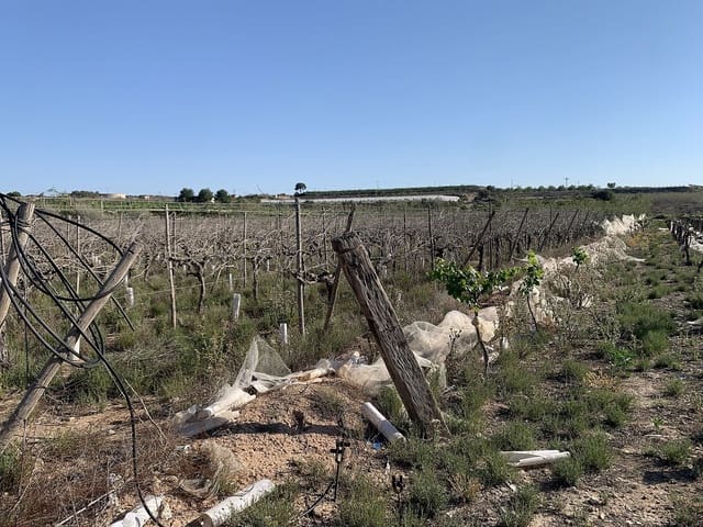 Undeveloped Land for sale in Monforte del Cid - € 80,000 (Ref: 9651167)