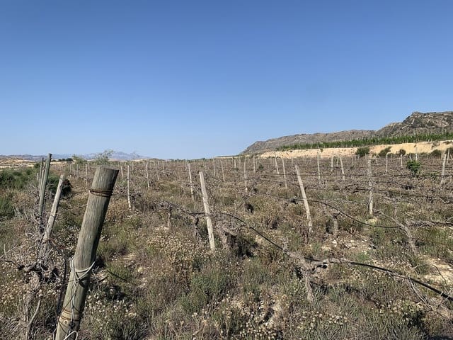 Undeveloped Land for sale in Monforte del Cid - € 65,000 (Ref: 9651168)