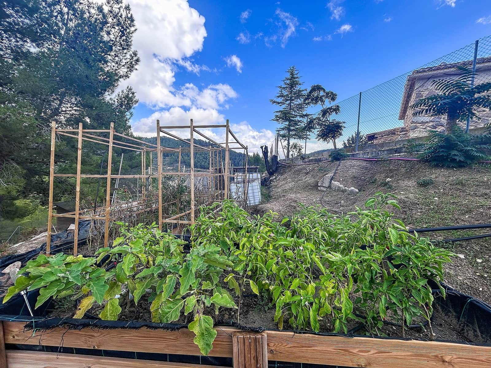 2 sovrum Finca/Hus på landet till salu i Torremanzanas med pool - 220 000 € (Ref: 9651179)