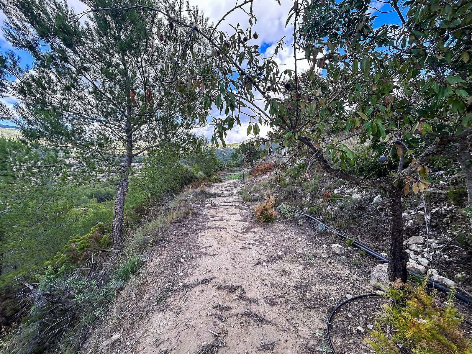 2 sovrum Finca/Hus på landet till salu i Torremanzanas med pool - 220 000 € (Ref: 9651179)