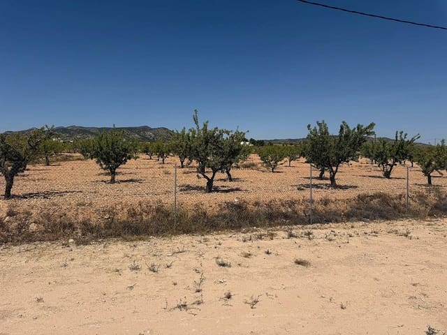 3 sypialnia Willa na sprzedaż w Pinoso z basenem - 425 000 € (Ref: 9655615)