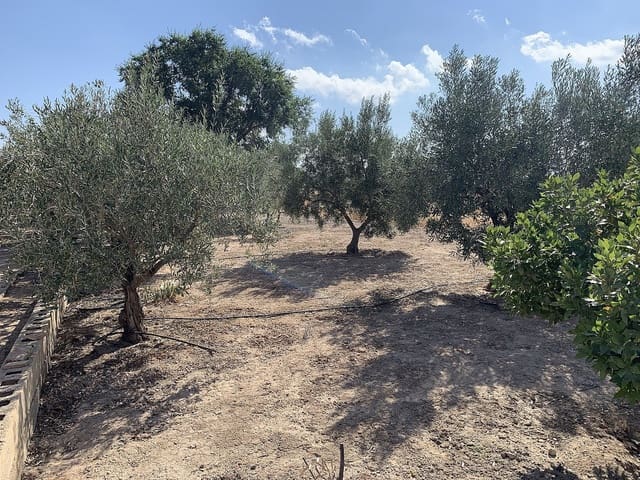 Finca/Casa Rural en Caudete en venta - 44.950 € (Ref: 9658199)