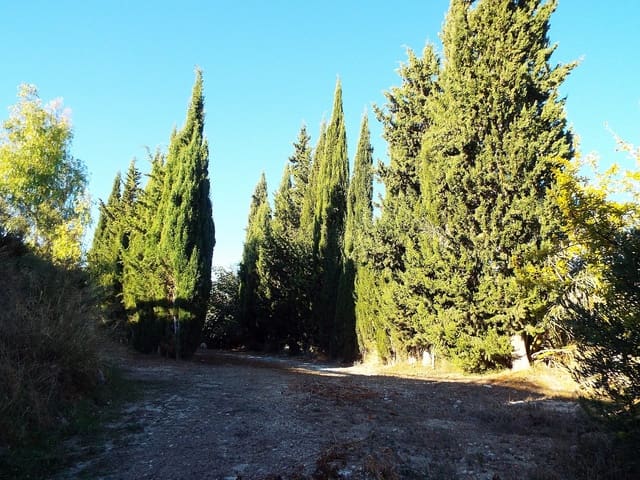 12 sypialnia Finka/Dom wiejski na sprzedaż w Mahoya, Abanilla z basenem garażem - 250 000 € (Ref: 9658206)