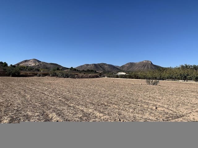 2 chambre Finca/Maison de Campagne à vendre à Aspe - 119 950 € (Ref: 9658207)