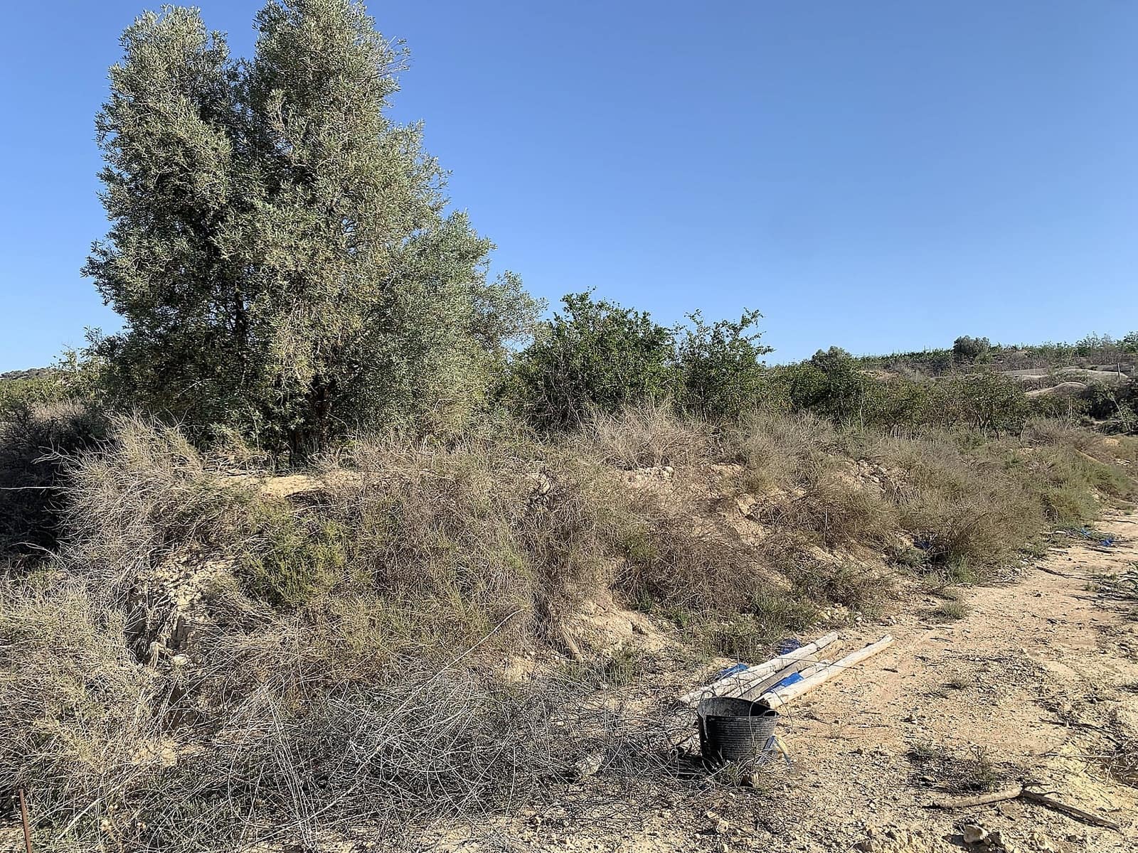 Landgrundstück zu verkaufen in Monforte del Cid - 80.000 € (Ref: 9658243)