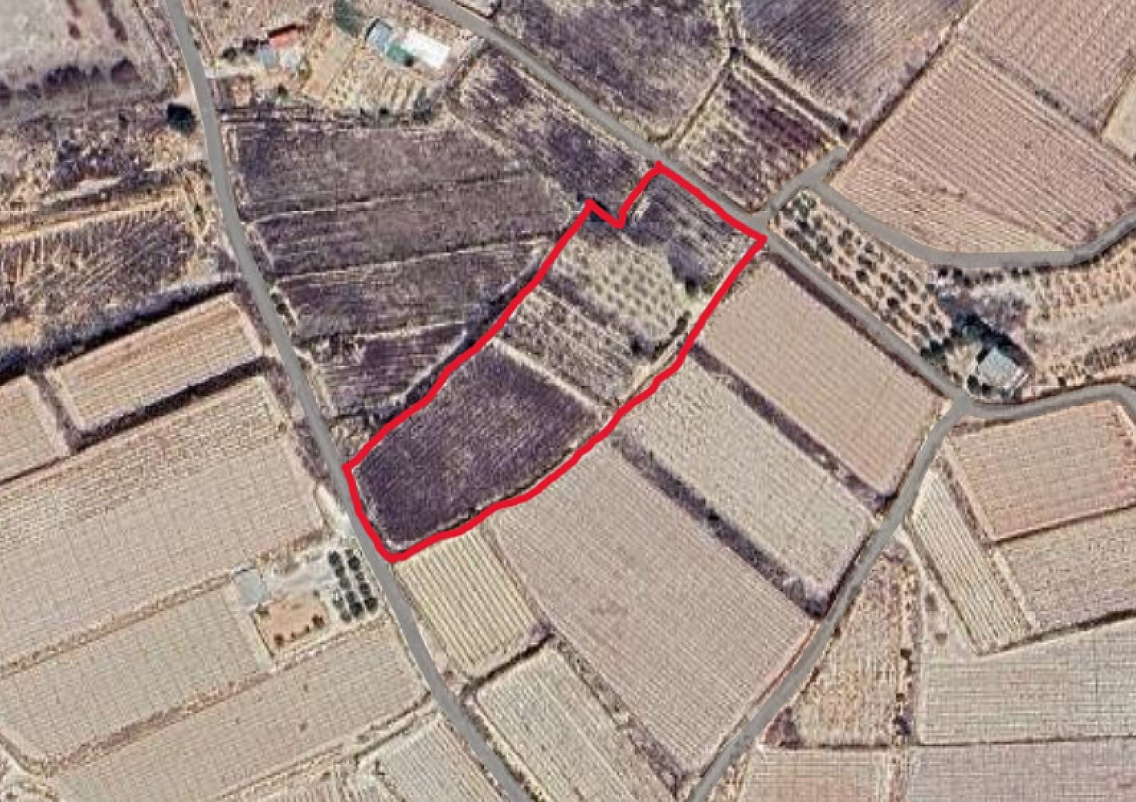 Landgrundstück zu verkaufen in Monforte del Cid - 65.000 € (Ref: 9658244)