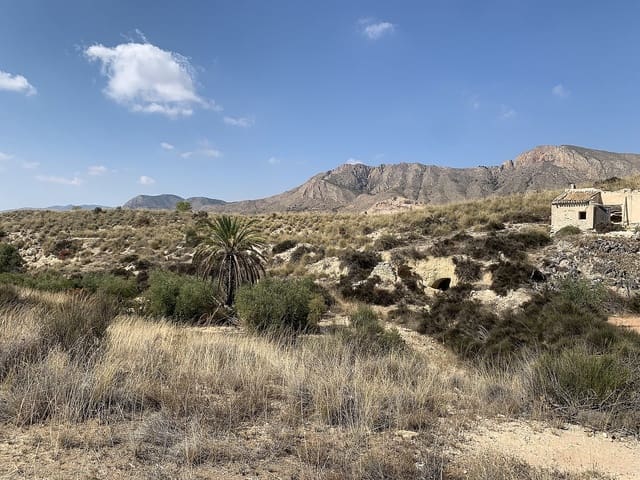 5 quarto Casa de Caverna para venda em Macisvenda, Abanilla - 29 000 € (Ref: 9658249)