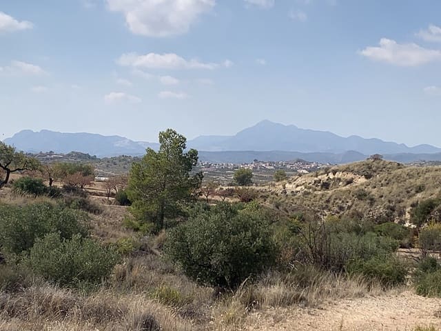 Casa Cueva de 5 habitaciones en Macisvenda, Abanilla en venta - 29.000 € (Ref: 9658249)