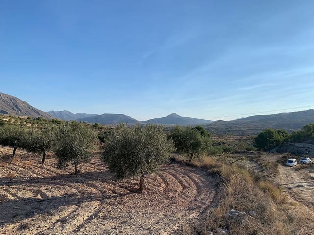 Undeveloped Land for sale in Macisvenda, Abanilla - € 31,000 (Ref: 9665810)