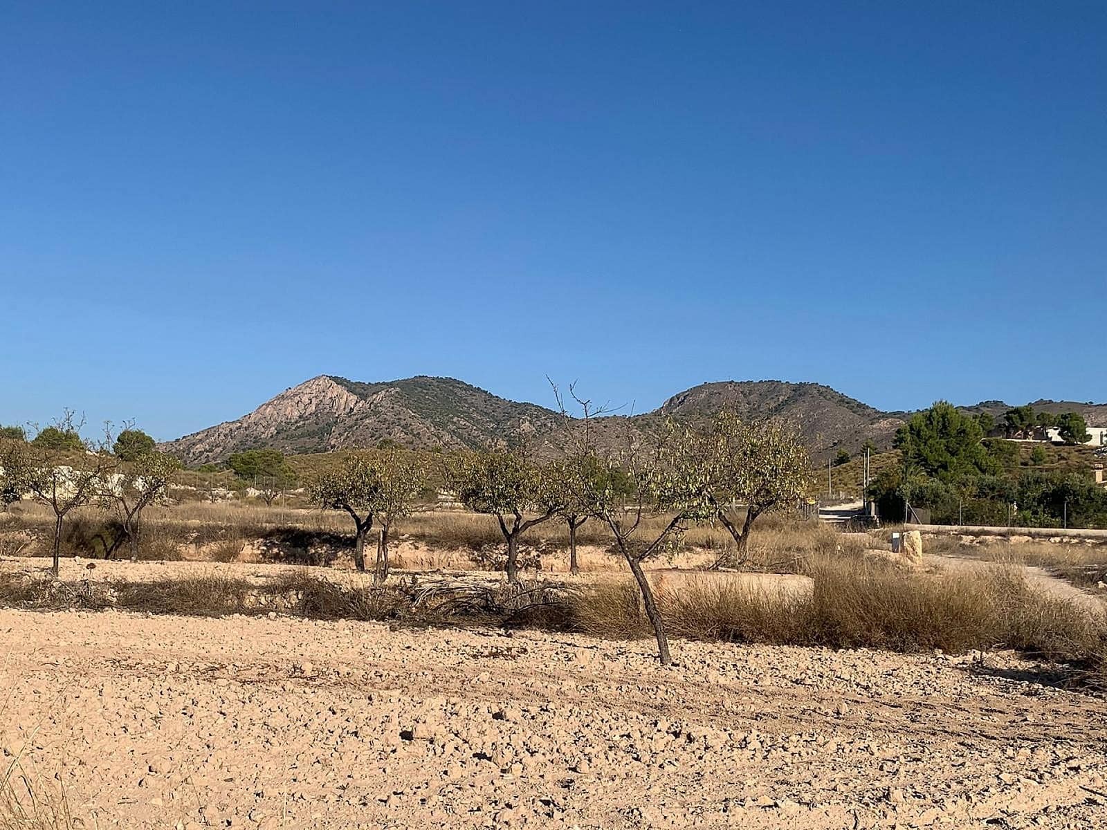 Terre non Aménagée à vendre à Macisvenda - 40 000 € (Ref: 9665812)