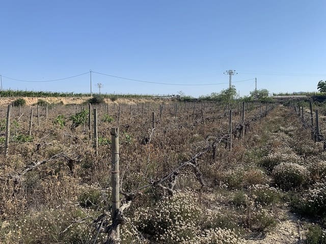 Mark till salu i Monforte del Cid - 65 000 € (Ref: 9665851)