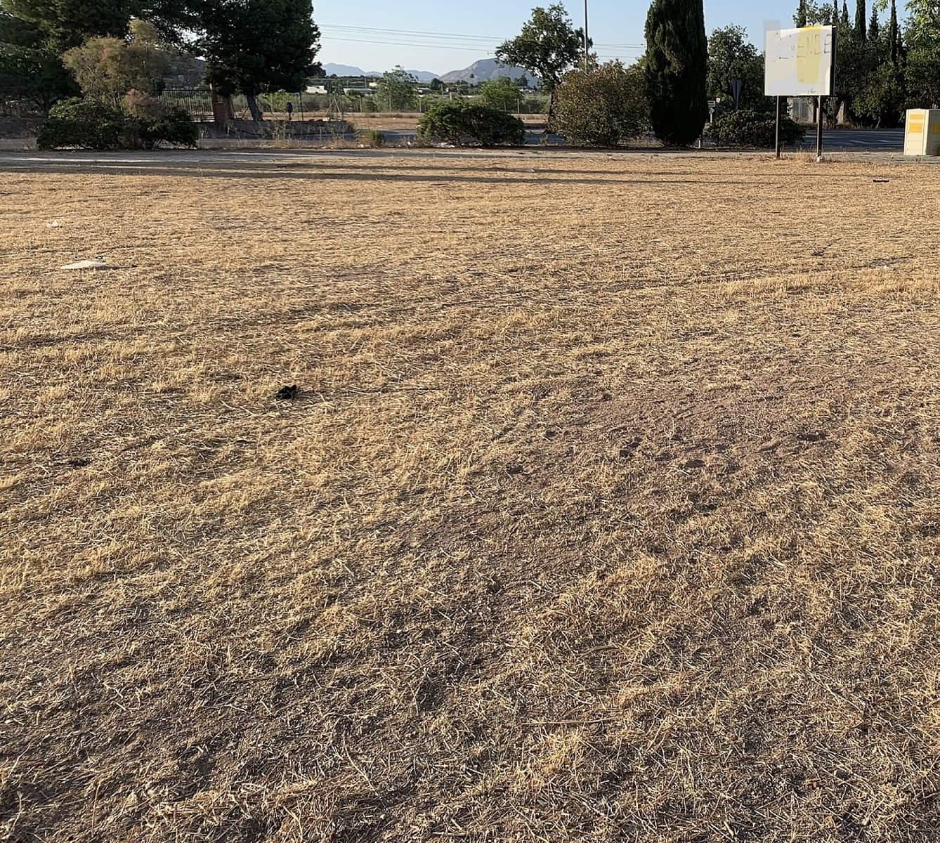 Landgrundstück zu verkaufen in Aspe - 105.000 € (Ref: 9665853)