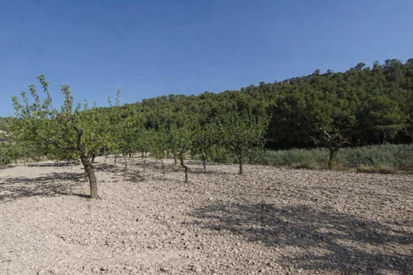 1 sovrum Villa till salu i Ibi - 90 000 € (Ref: 9669884)