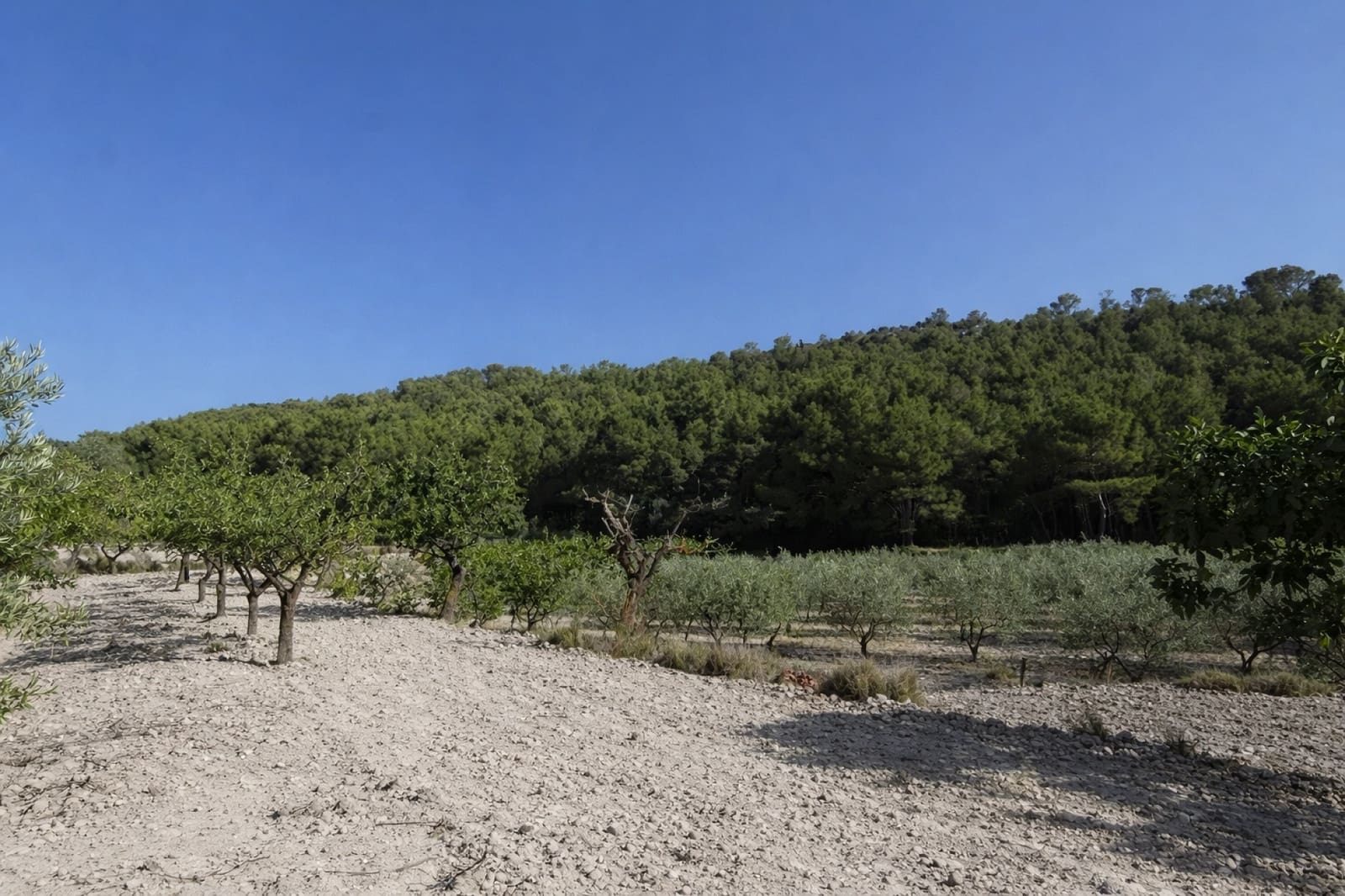 1 sovrum Villa till salu i Ibi - 90 000 € (Ref: 9669884)