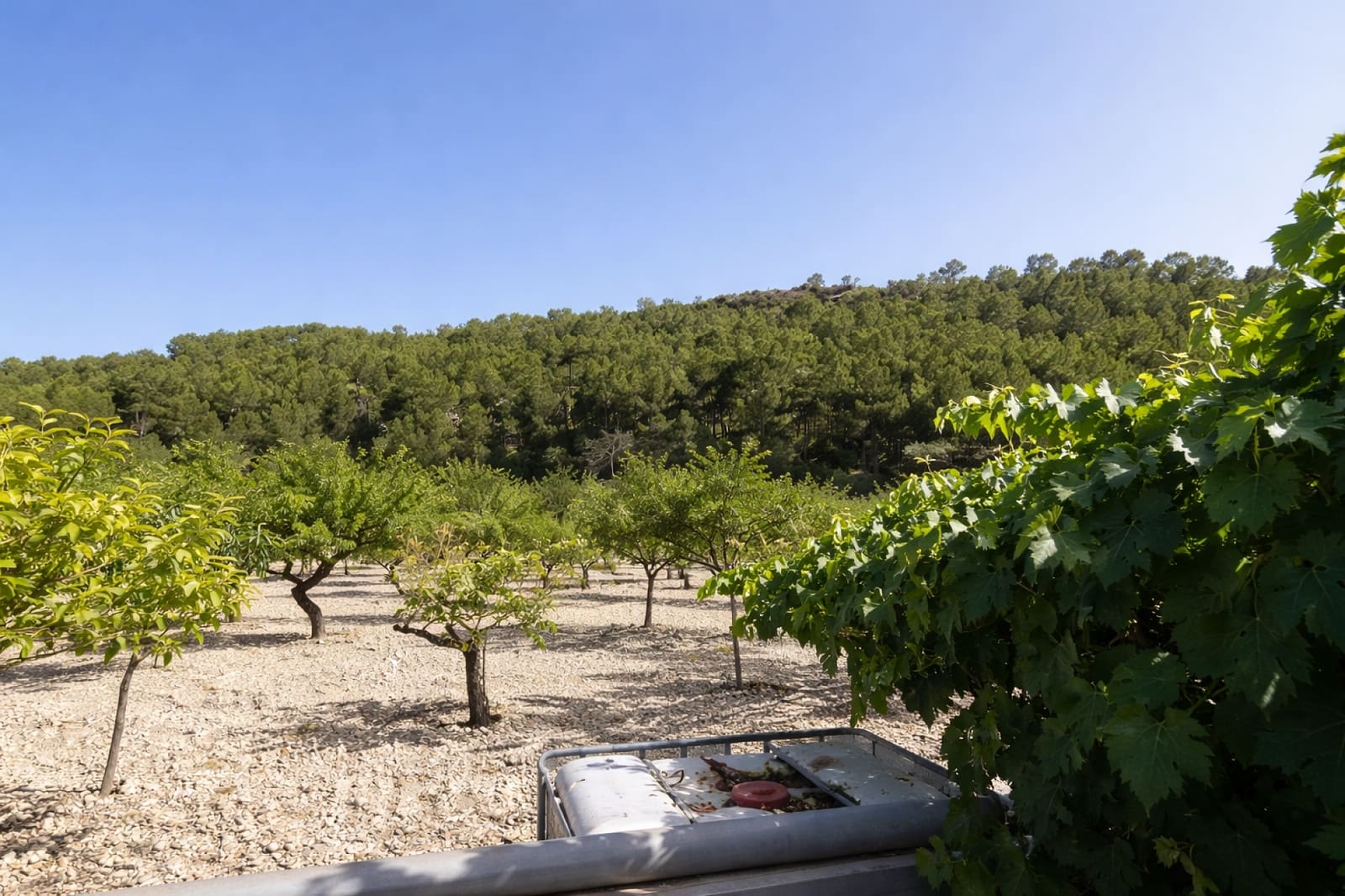 1 sovrum Villa till salu i Ibi - 90 000 € (Ref: 9669884)