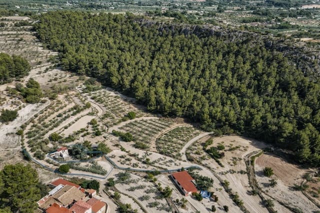 1 soveværelse Villa til salg i Ibi - € 90.000 (Ref: 9669884)