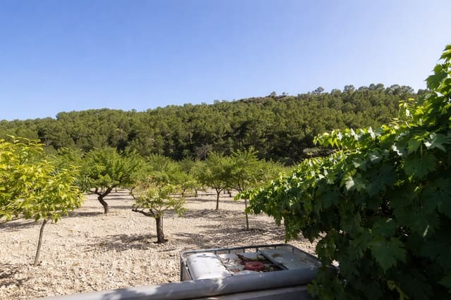 1 soveværelse Villa til salg i Ibi - € 90.000 (Ref: 9669884)