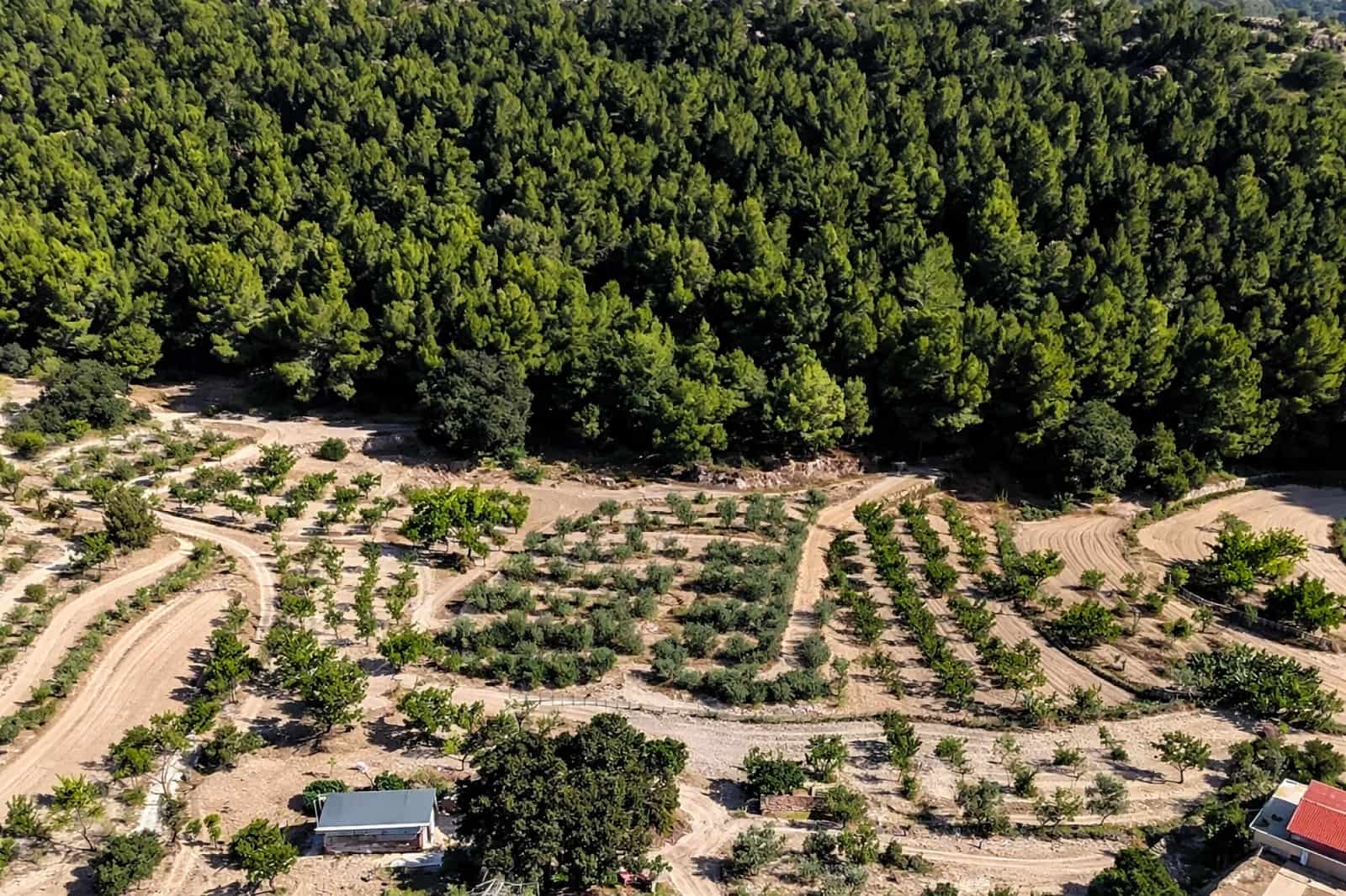 1 sovrum Villa till salu i Ibi - 90 000 € (Ref: 9669884)