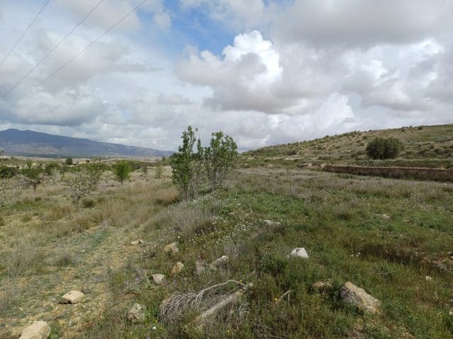 3 sovrum Villa till salu i Abanilla - 82 000 € (Ref: 9669885)