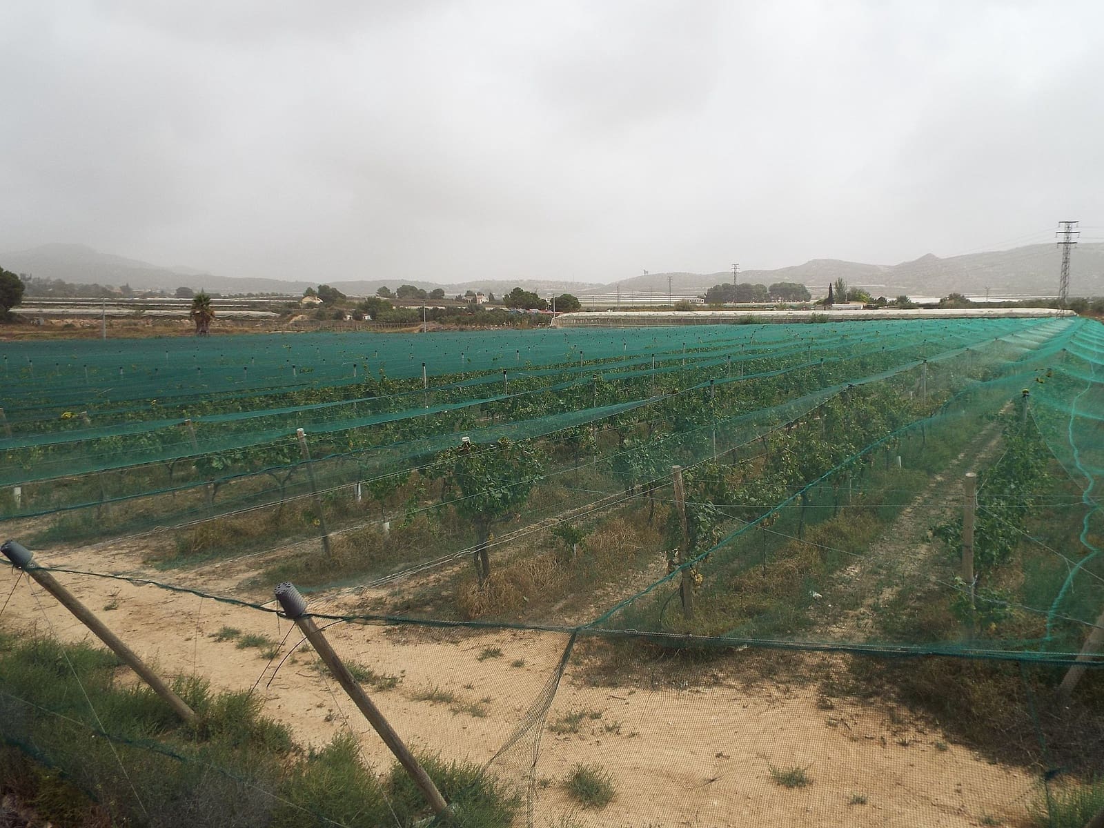 Grunde uden byggetilladelser til salg i Monforte del Cid - € 110.000 (Ref: 9682309)