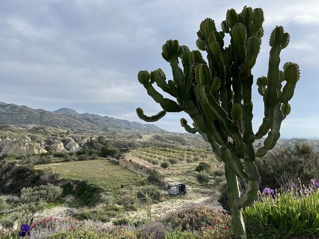 4 soveværelse Hulehus til salg i Abanilla med garage - € 145.000 (Ref: 9682339)