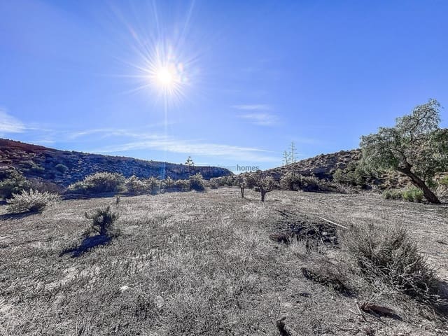 4 sypialnia Finka/Dom wiejski na sprzedaż w Crevillente / Crevillent z basenem garażem - 130 000 € (Ref: 9685986)