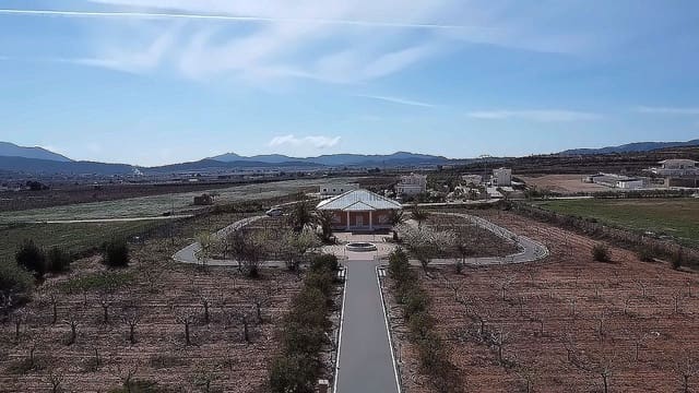 Chalet de 4 habitaciones en Pinoso en venta - 650.000 € (Ref: 9700389)