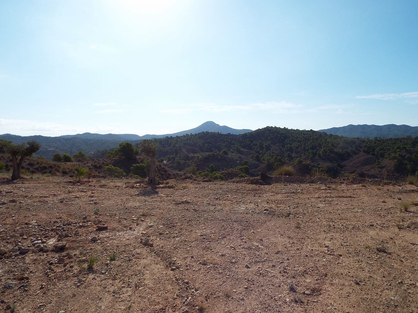 Terreno/Finca Rústica en Macisvenda en venta - 49.950 € (Ref: 9706174)