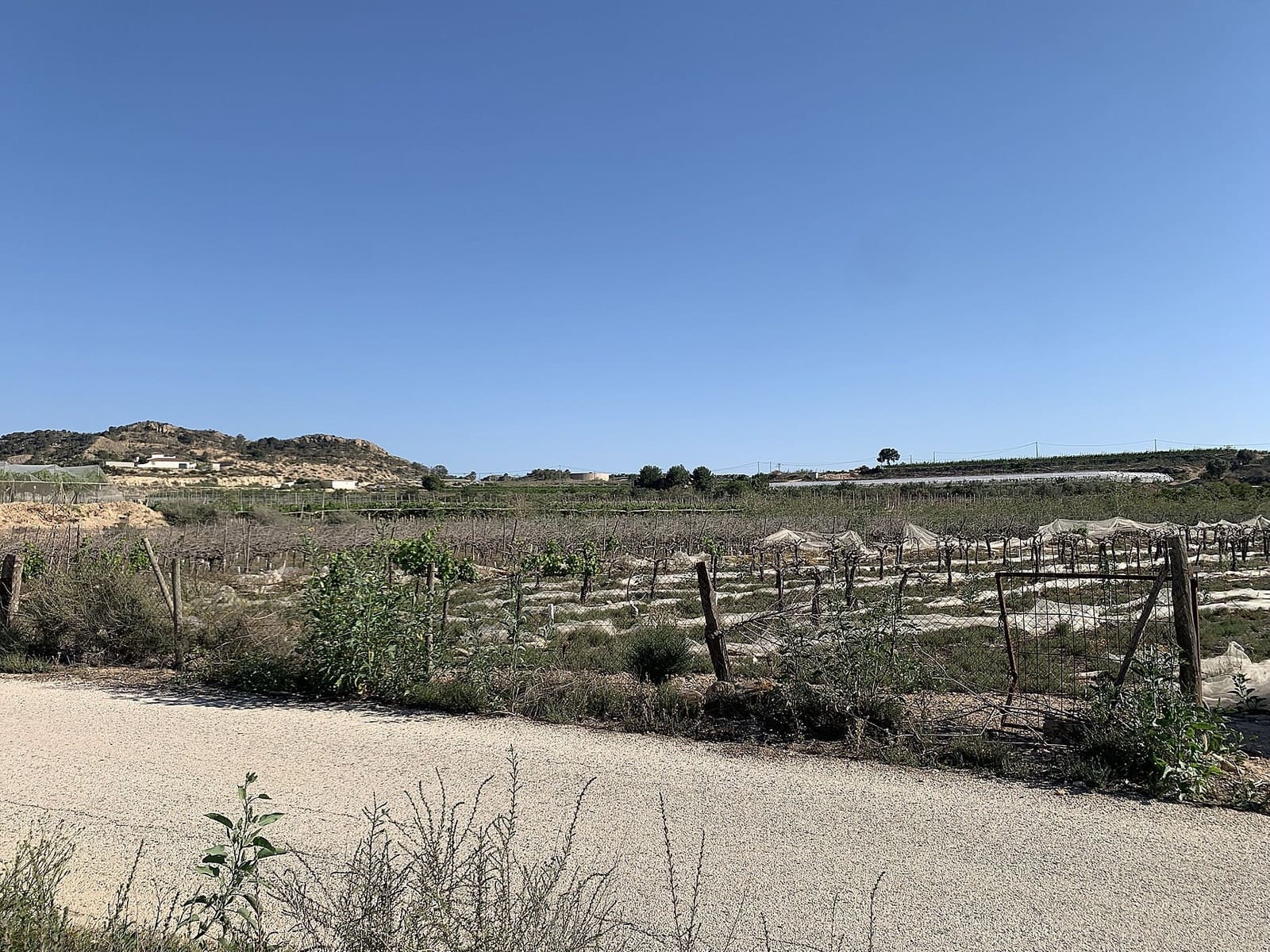 Grunde uden byggetilladelser til salg i Monforte del Cid - € 80.000 (Ref: 9711028)