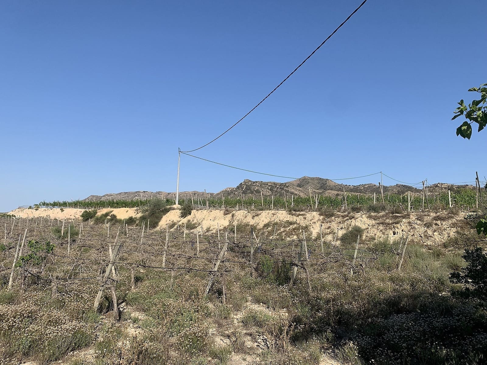 Mark till salu i Monforte del Cid - 65 000 € (Ref: 9711029)