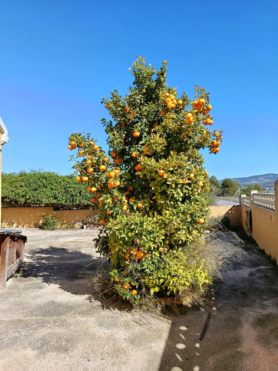 3 Zimmer Finca/Landgut zu verkaufen in Castalla - 175.000 € (Ref: 9714451)