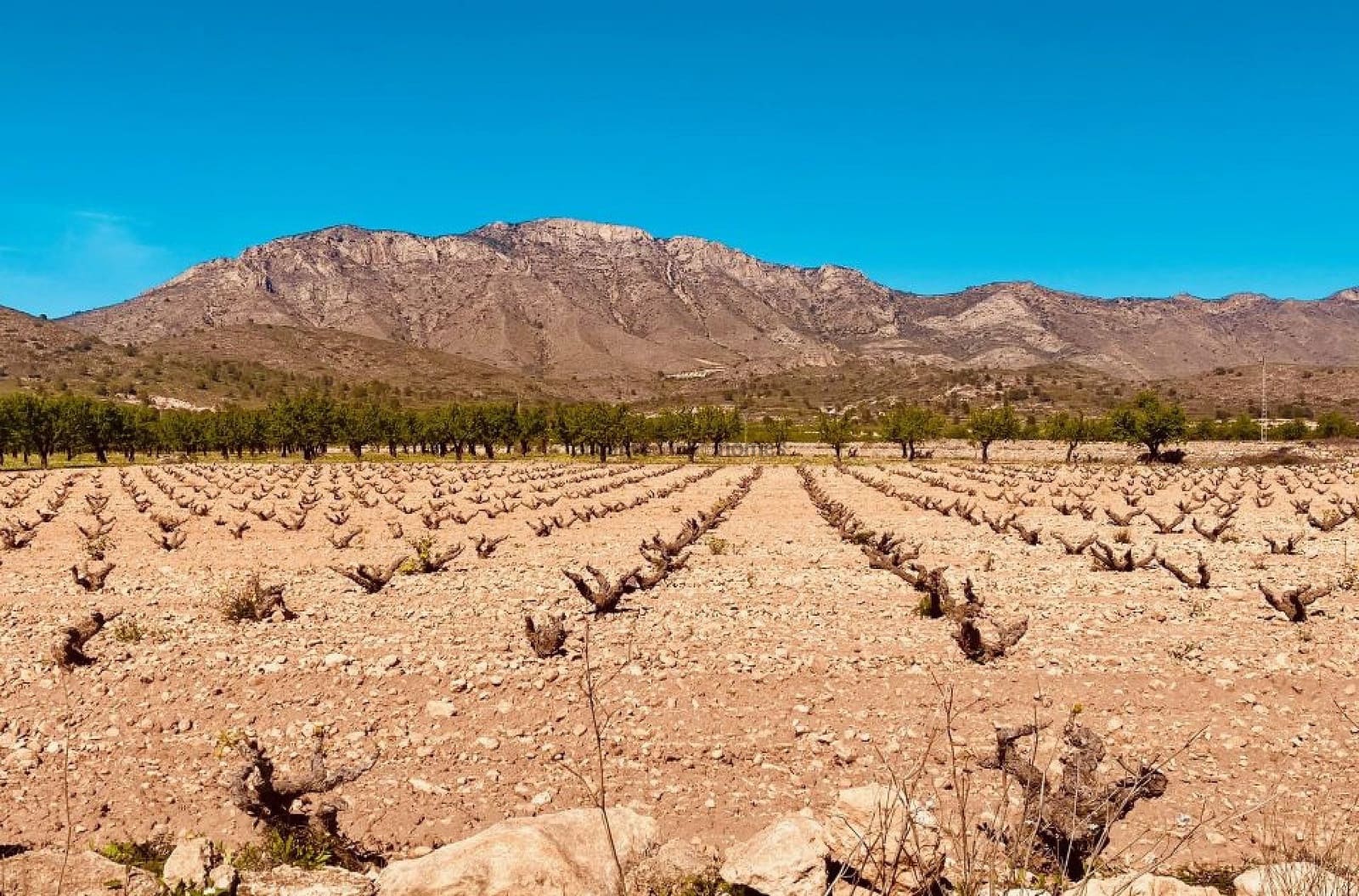 5 Zimmer Finca/Landgut zu verkaufen in El Canton mit Pool - 475.000 € (Ref: 9719418)