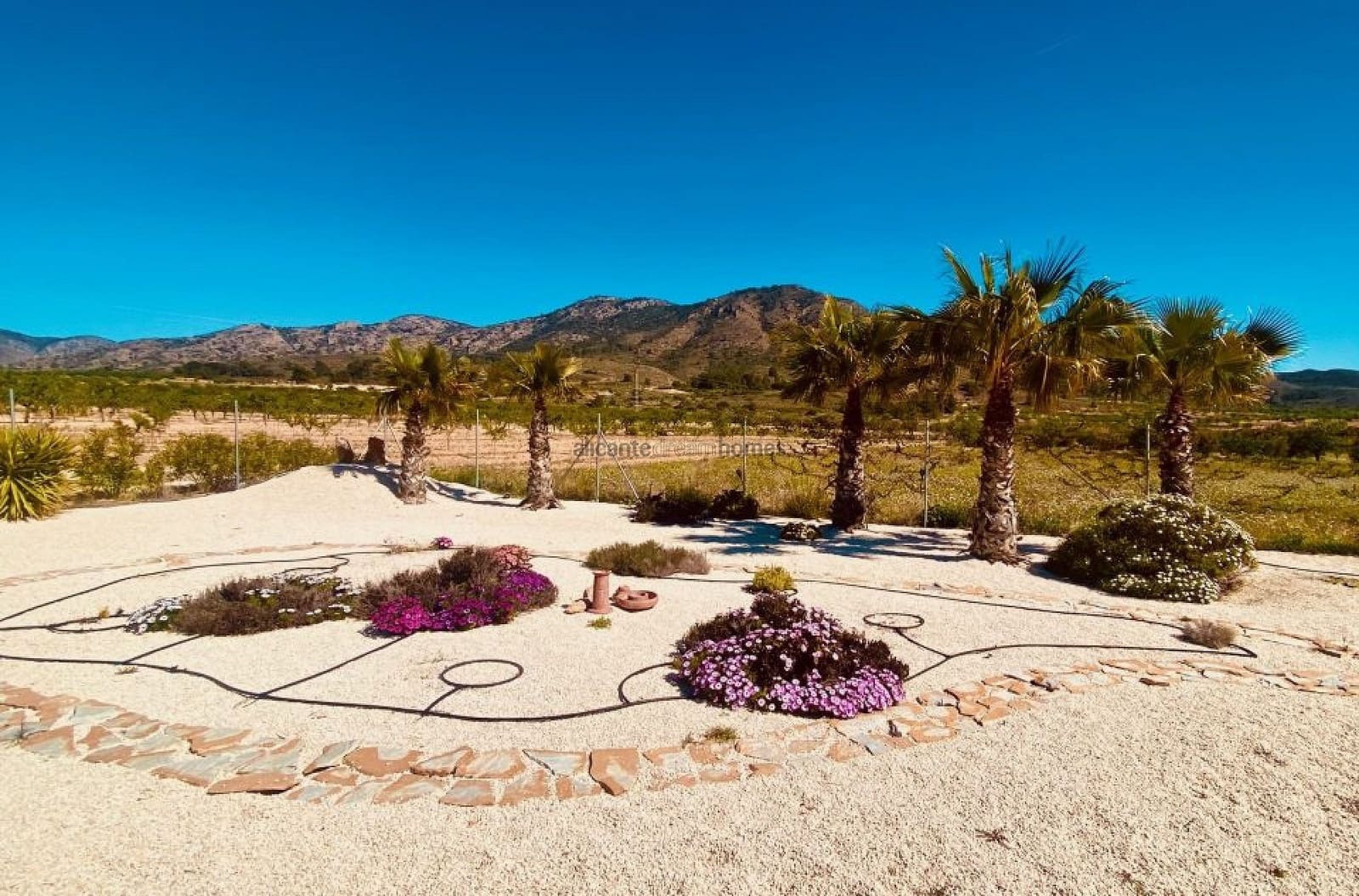 5 Zimmer Finca/Landgut zu verkaufen in El Canton mit Pool - 475.000 € (Ref: 9719418)