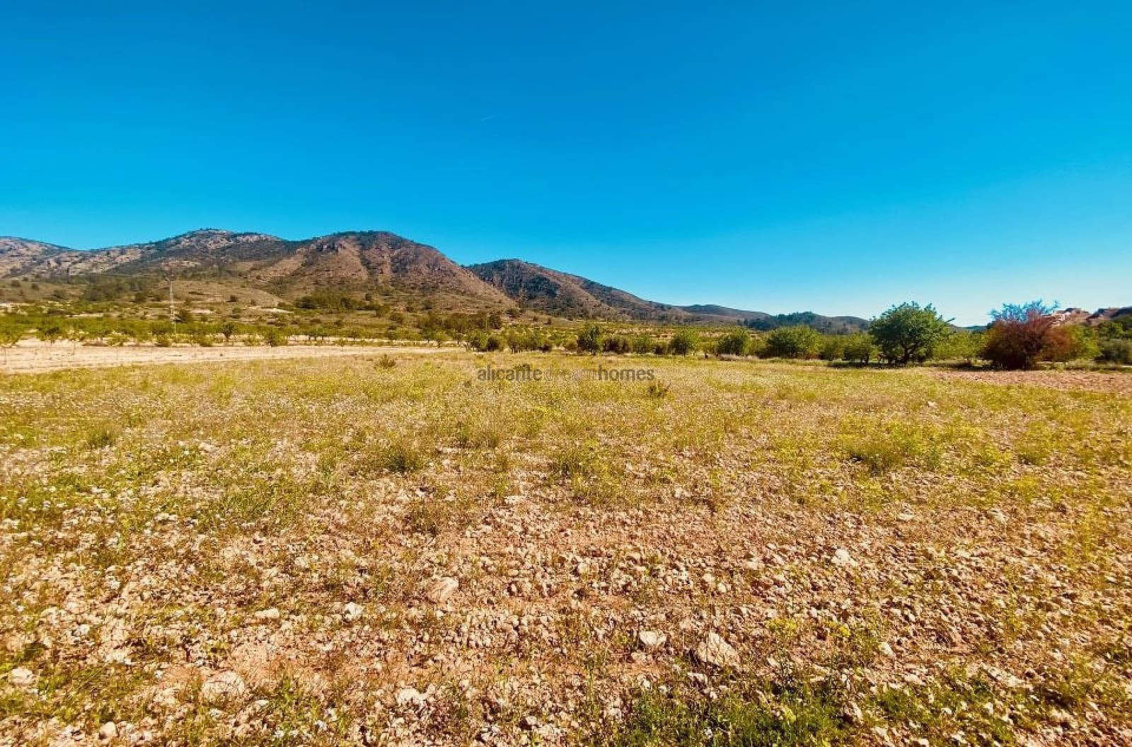 5 Zimmer Finca/Landgut zu verkaufen in El Canton mit Pool - 475.000 € (Ref: 9719418)