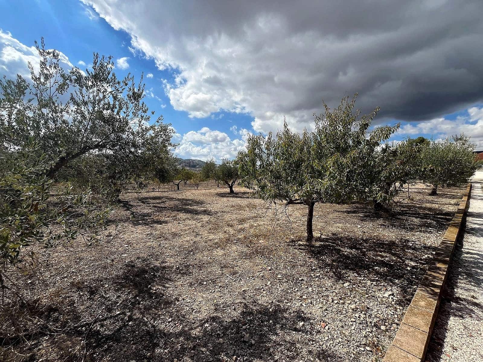 3 bedroom Finca/Country House for sale in Castalla - € 220,000 (Ref: 9723494)