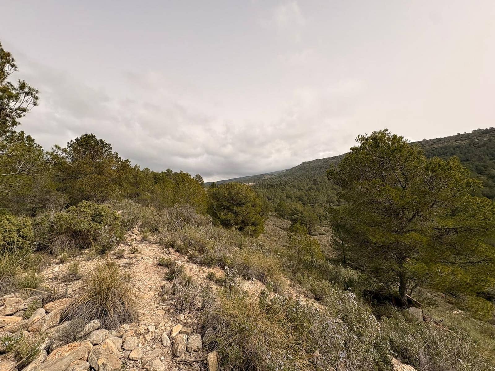 Undeveloped Land for sale in Petrel / Petrer - € 106,000 (Ref: 9735078)