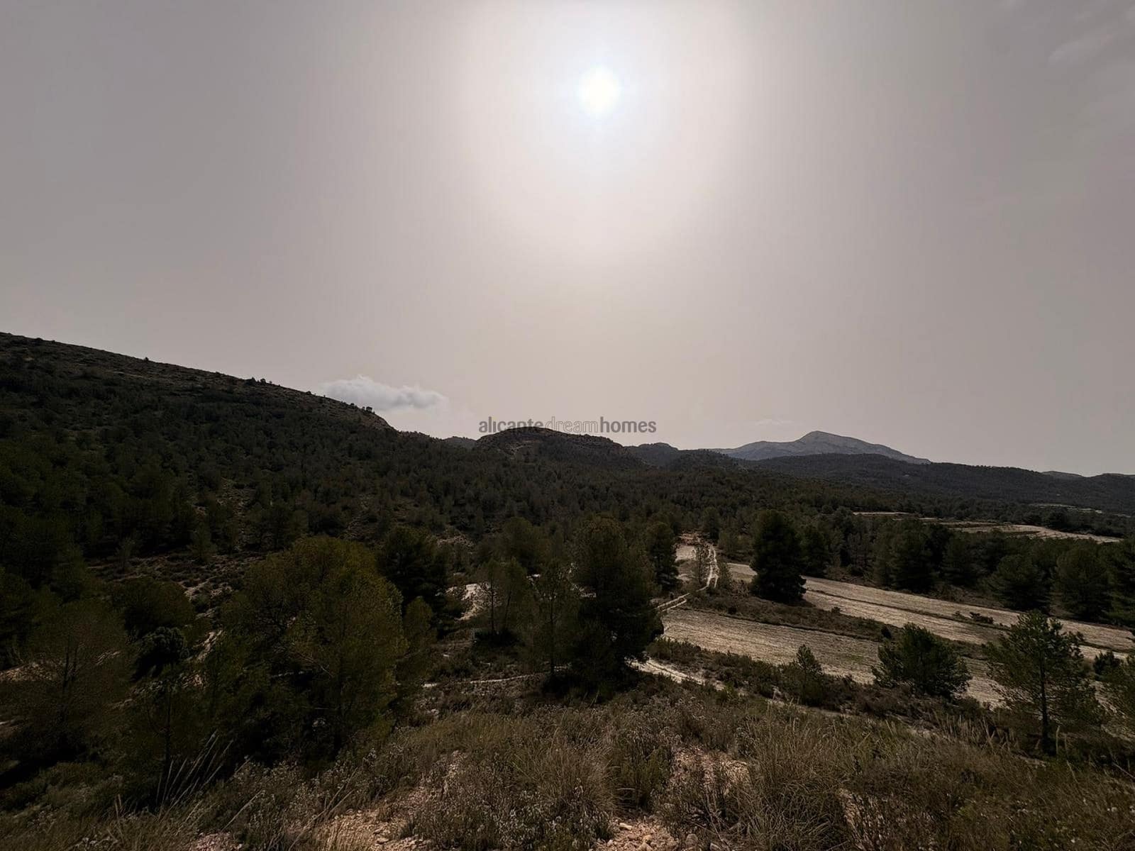 Undeveloped Land for sale in Petrel / Petrer - € 106,000 (Ref: 9735078)