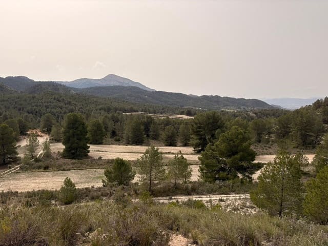 Undeveloped Land for sale in Petrel / Petrer - € 106,000 (Ref: 9735078)