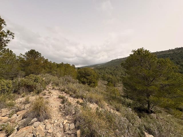 Undeveloped Land for sale in Petrel / Petrer - € 106,000 (Ref: 9735078)